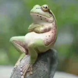 王冬谈谈音乐