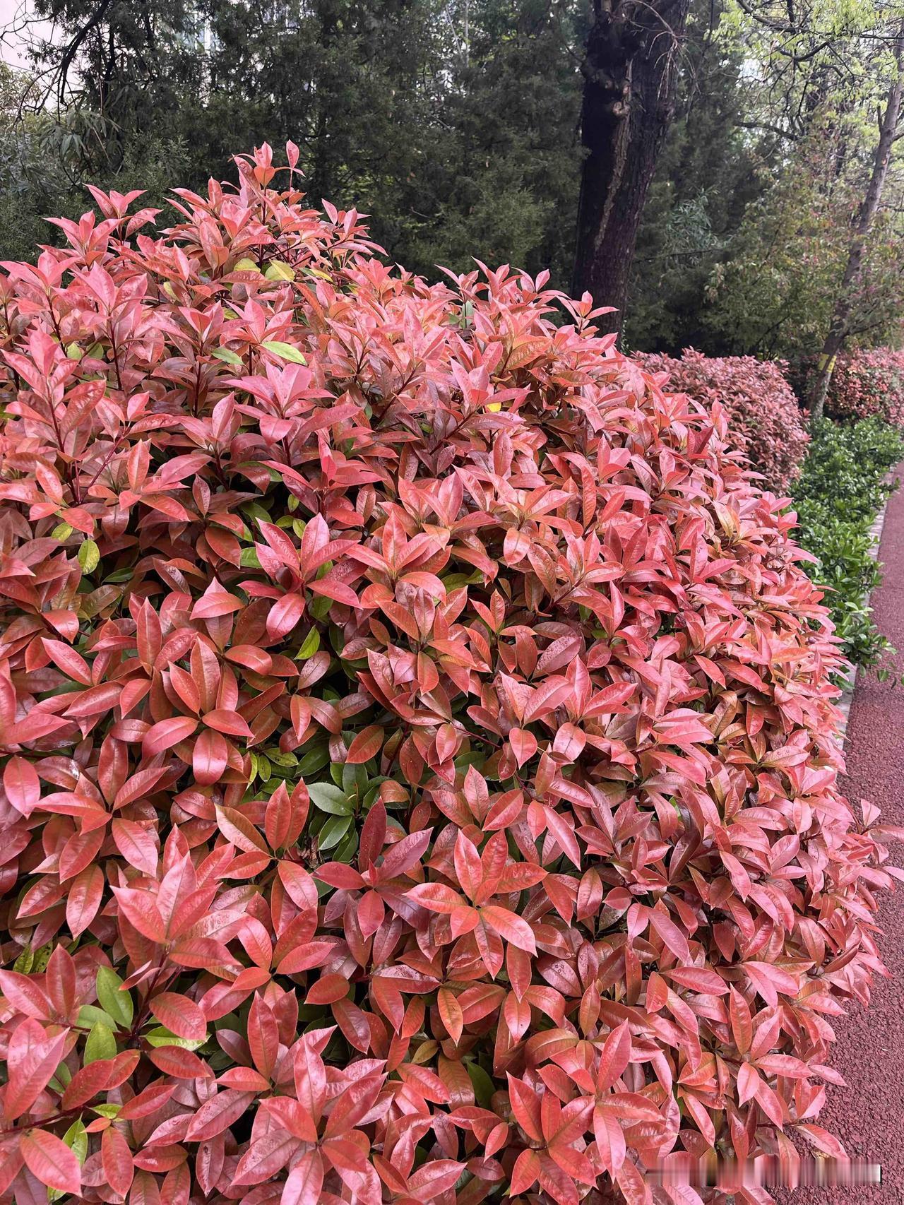 甚至会立马要了命！
亲身体验，我们家这个月又入住了一个“是非人”。那天一气之下和