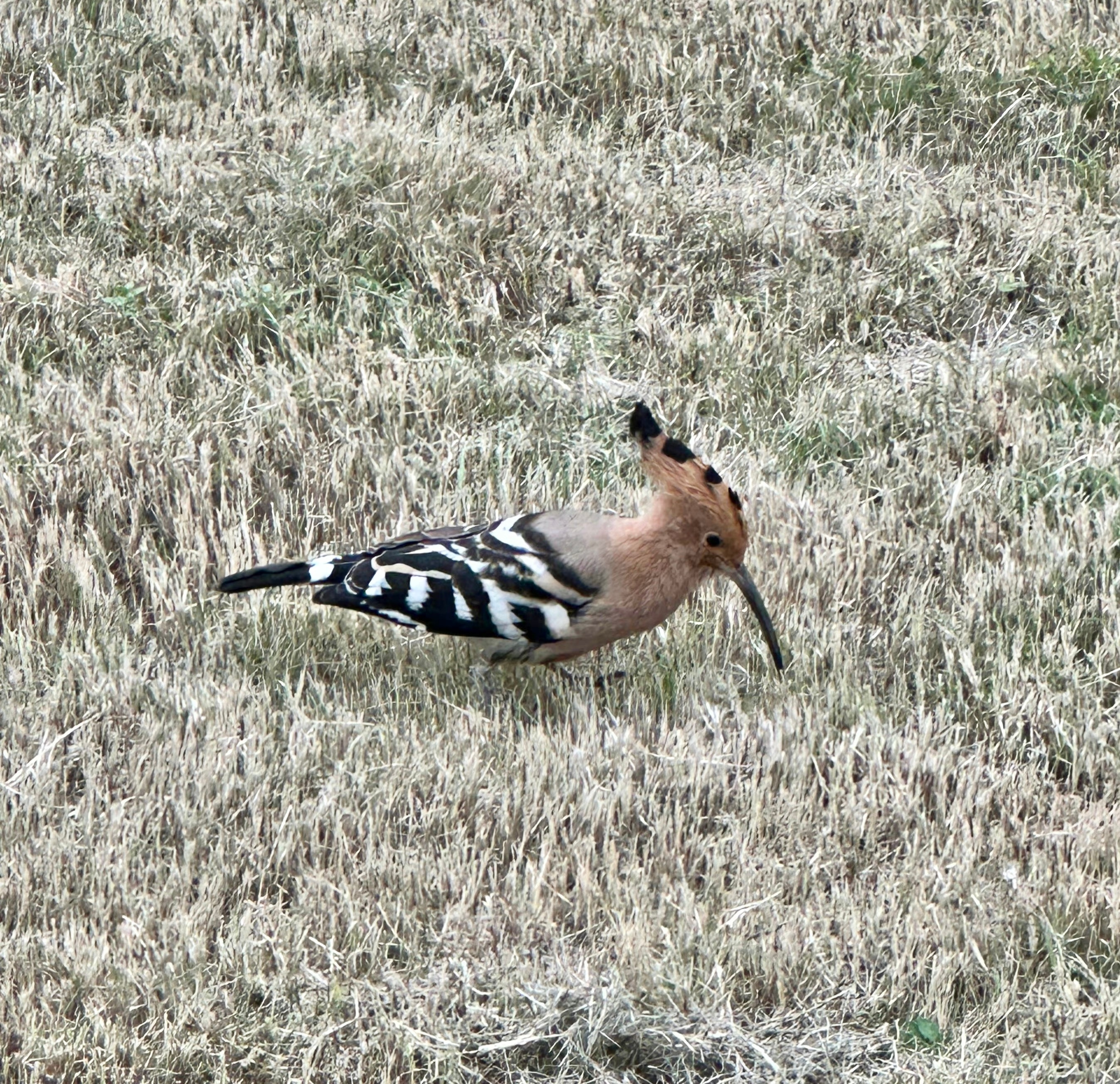 送分题环节～自信地说出它滴名字 ​​​