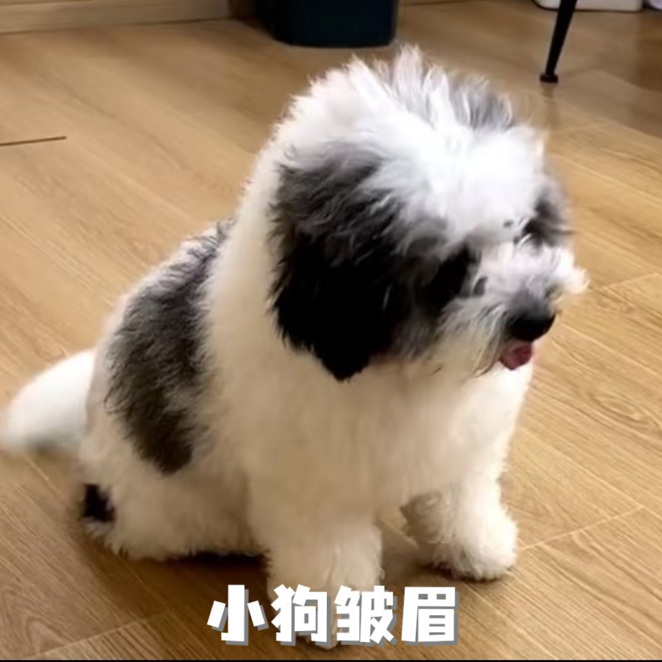 其实不是不喜欢吃水果，只是我真的很怕麻烦，通常最多吃的是香蕉橘子耙耙柑这种容易剥
