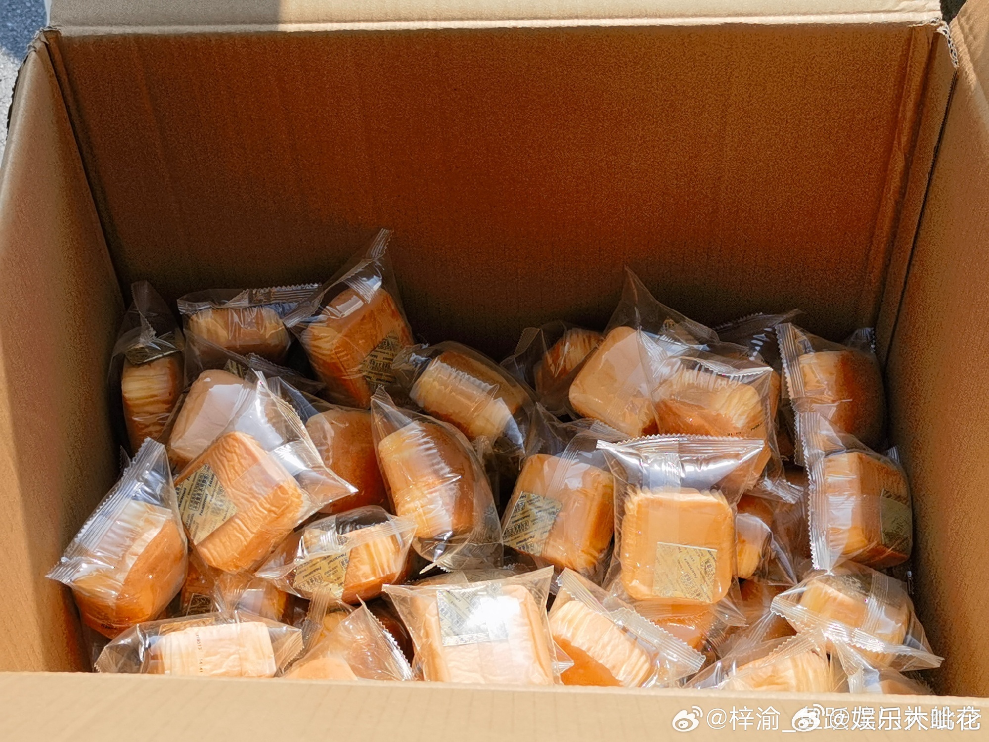 梓渝音乐节逆应援面包梓渝又逆应援了 梓渝音乐节逆应援面包 这是第几次逆应援了 好