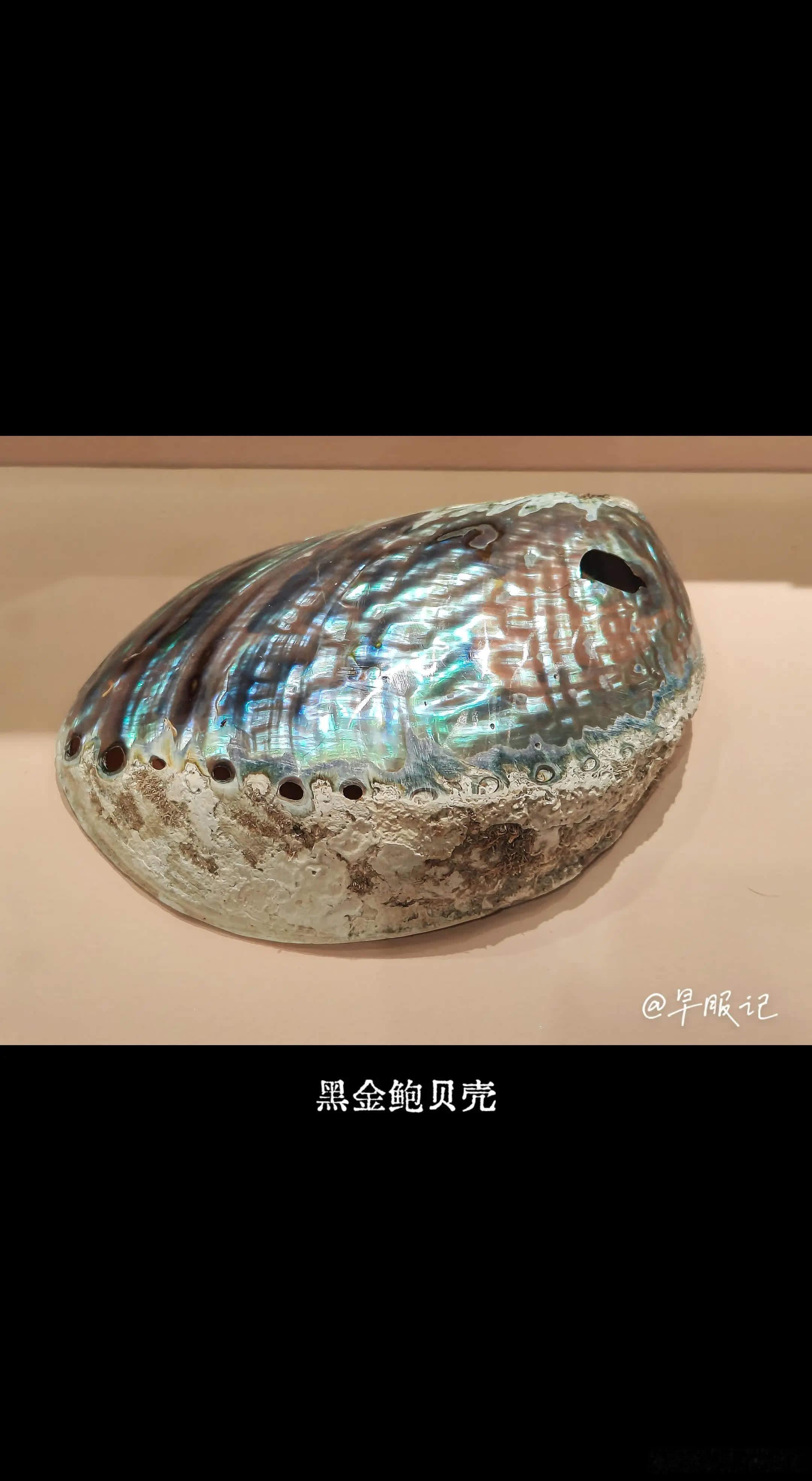 中国非遗馆 中国工美馆，展示了非遗螺钿工艺，展品有：螺钿首饰盒、黑金鲍贝壳、贝壳