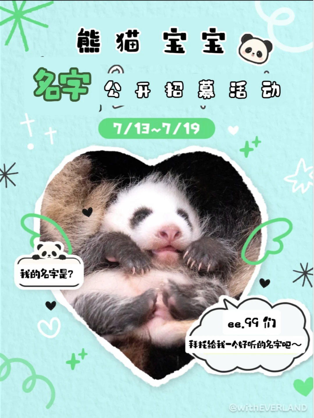 爱宝乐园熊猫宝宝名字公开招募活动！