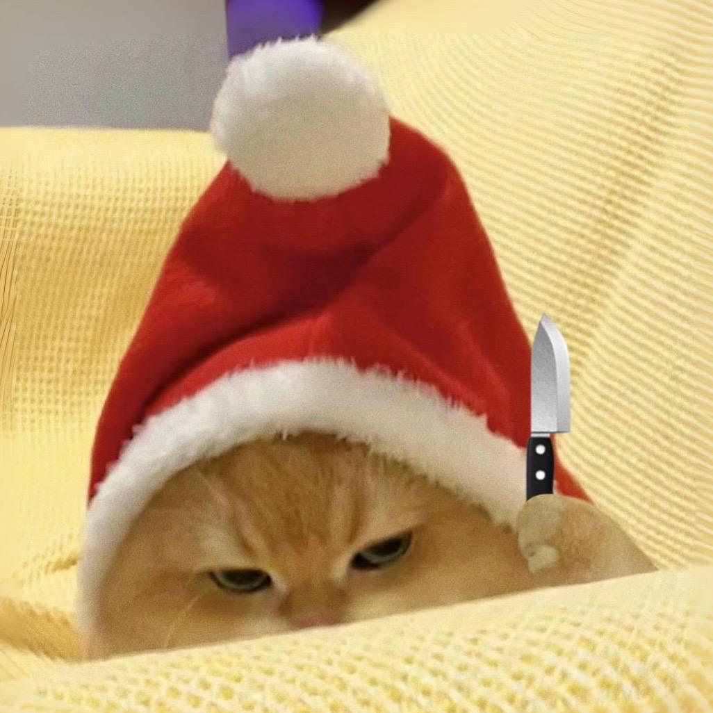 打劫!圣诞礼物留下!ee们 Meowrry Christmas!🎅?...