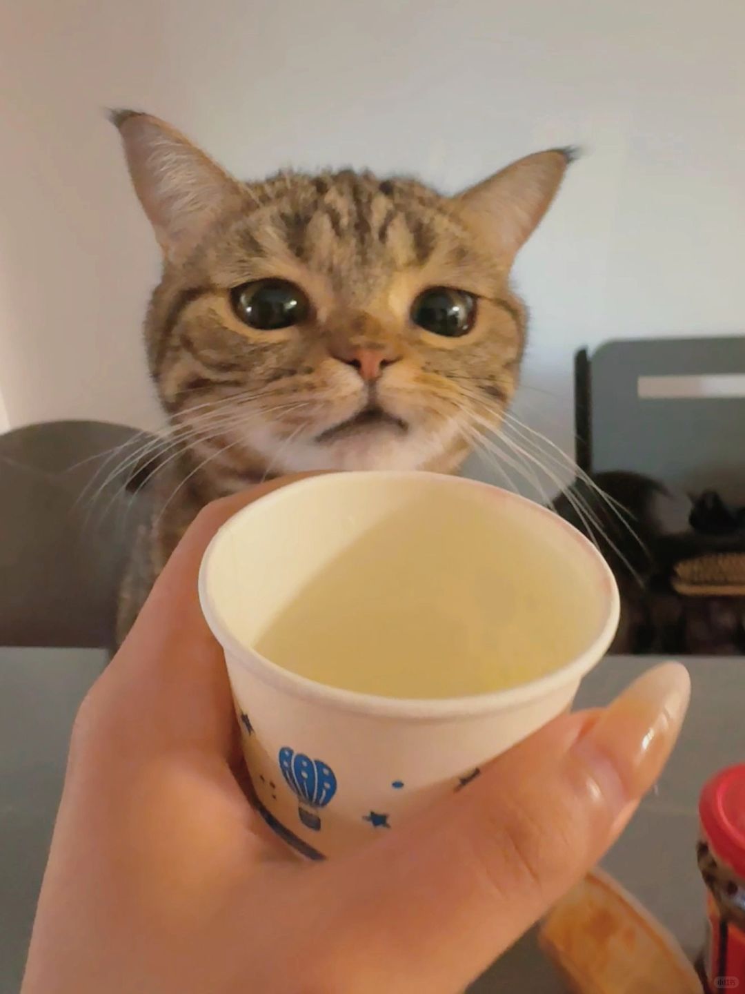 该怎么跟她解释我把奶奶喝完了没留给她