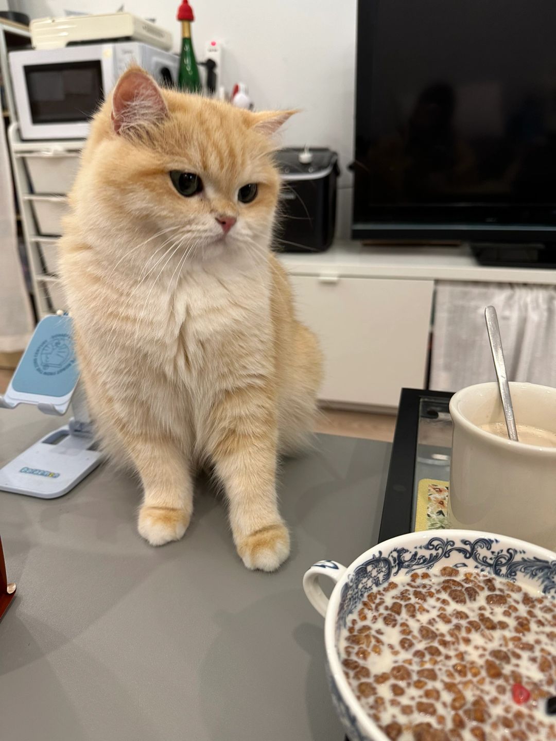 看看总可以吧！