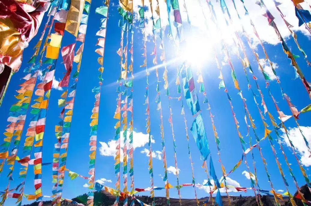 老张头老伴走得早，身体硬朗能吃能走，每顿能喝二两小酒！家里有三个孩子，一儿两女。