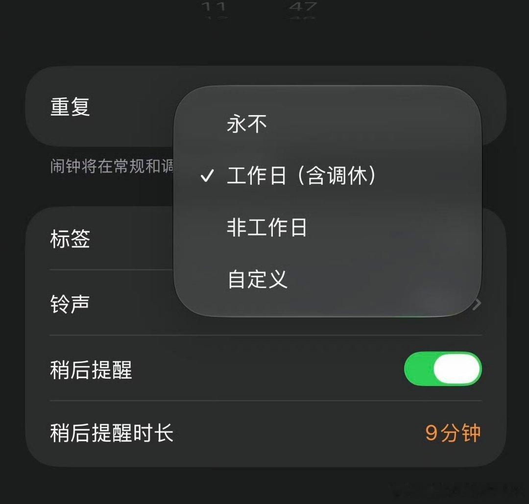 为什么只有国行版iPhone有调休闹钟这个功能，要考虑还有很多牛马用着外版iPh