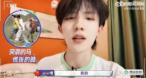 苏新皓告马的状 小马一开始十分温顺，和苏新皓互动之后，展现出活泼的一面。 ​​​