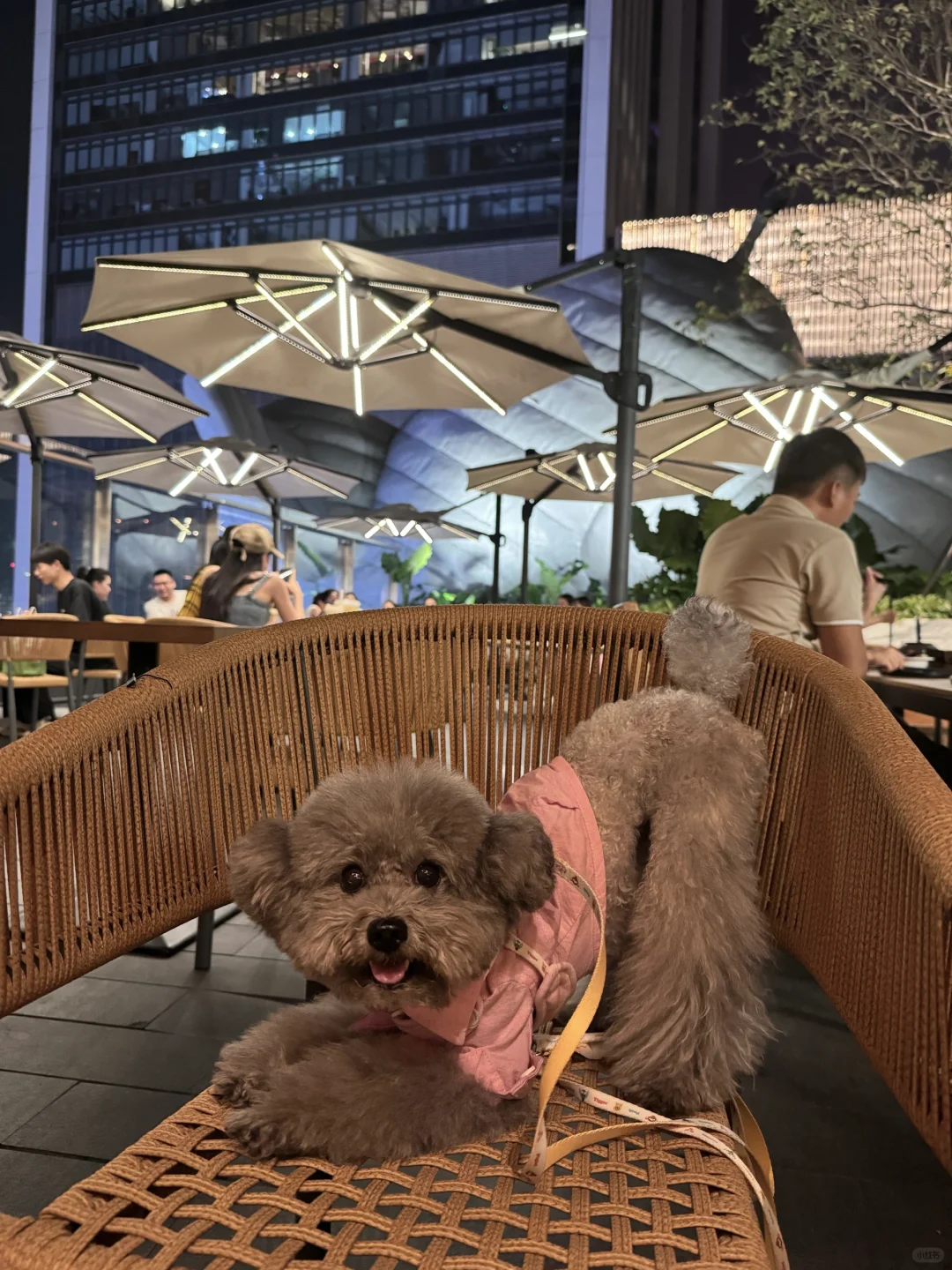 男孩子就该穿粉色🩷