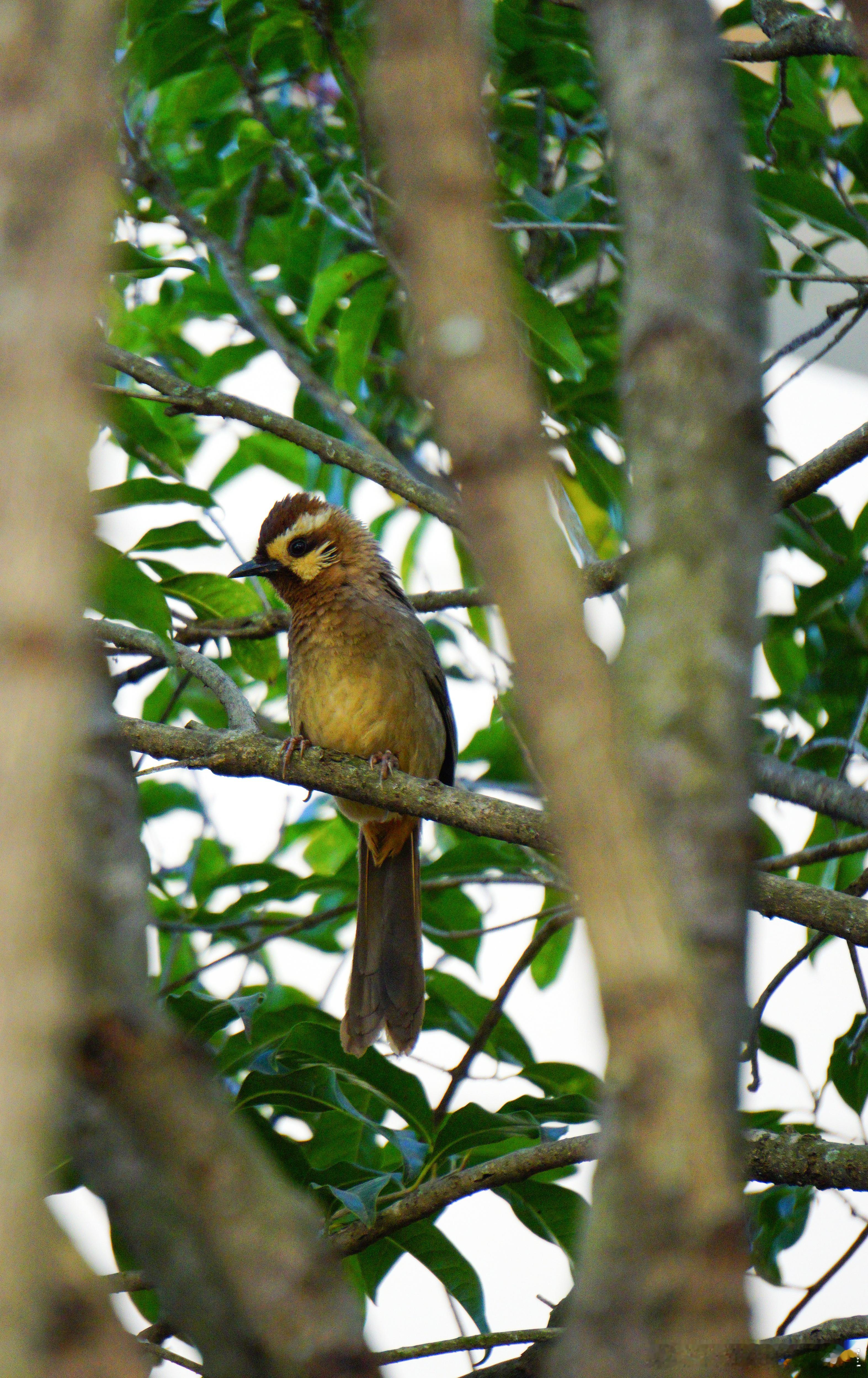 【创始人保控制权｜融资不被稀释的五大“军械”】公司融资如同引入活水，但创始人股权