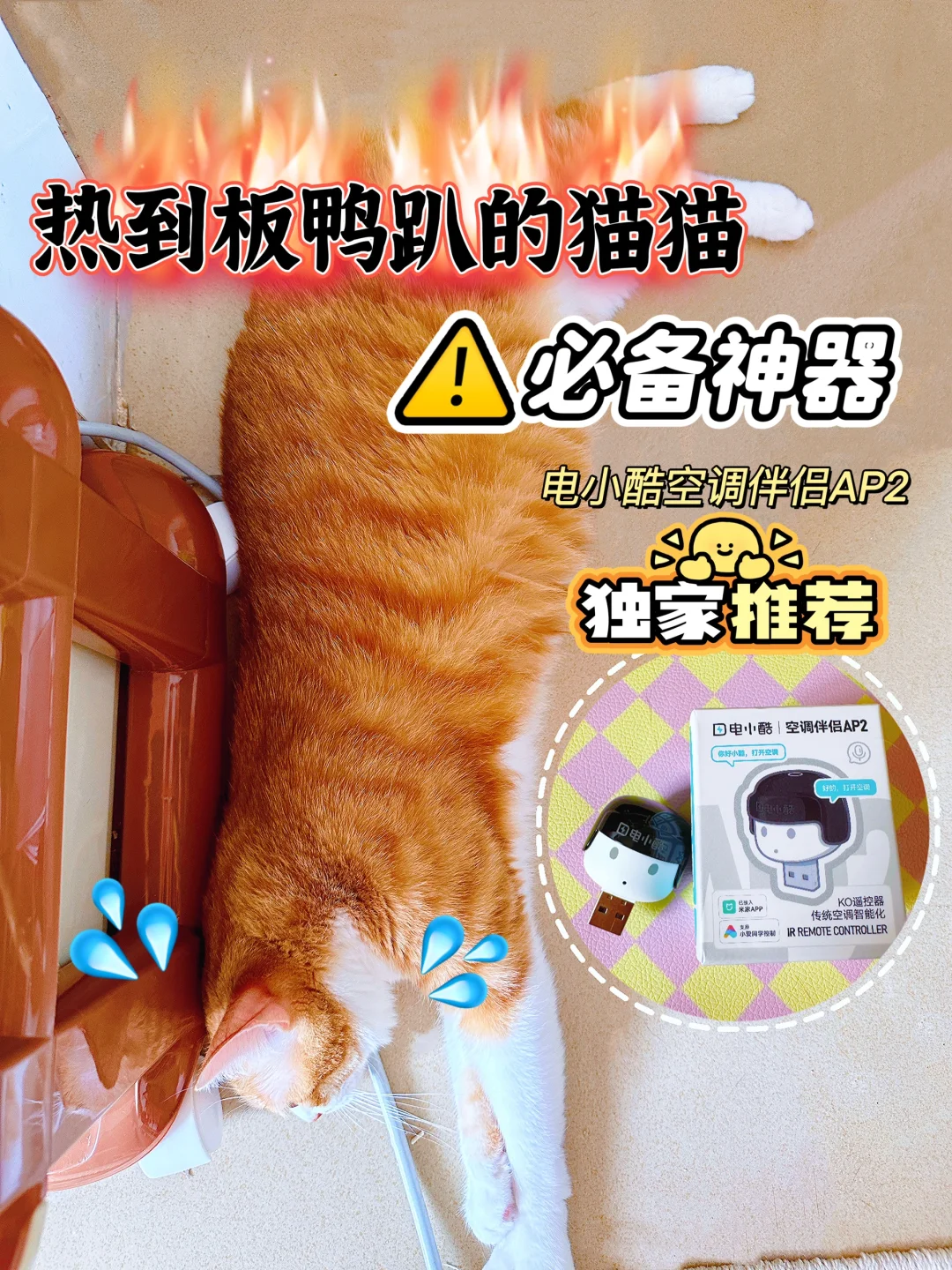 小小一个，夏天让宠物不怕热❗