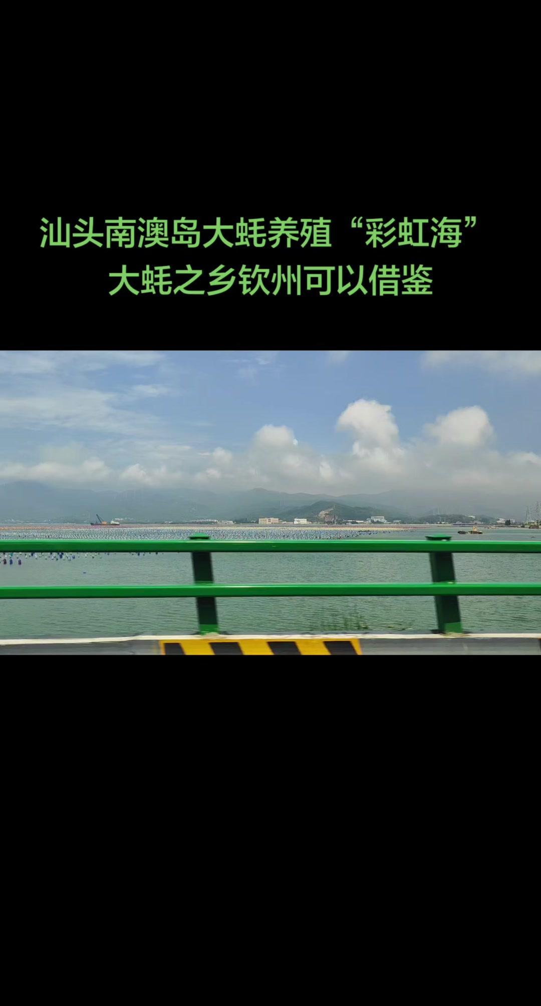 1️⃣南澳岛的万亩生蚝海上牧场太震撼了！养殖总面积约2.5万亩，海面干净无垃圾，