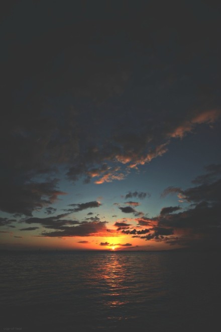 阳光总在风雨后 ，乌云上有晴空。 珍惜所有的感动， 每一份希望在你手中。 