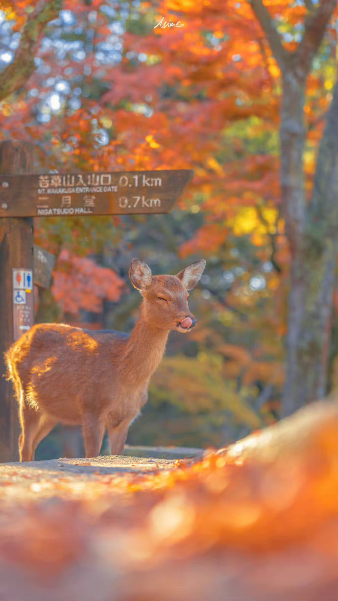 读到一句温柔的话：“很多礼物，上天会绕个圈子给你。” ​​​