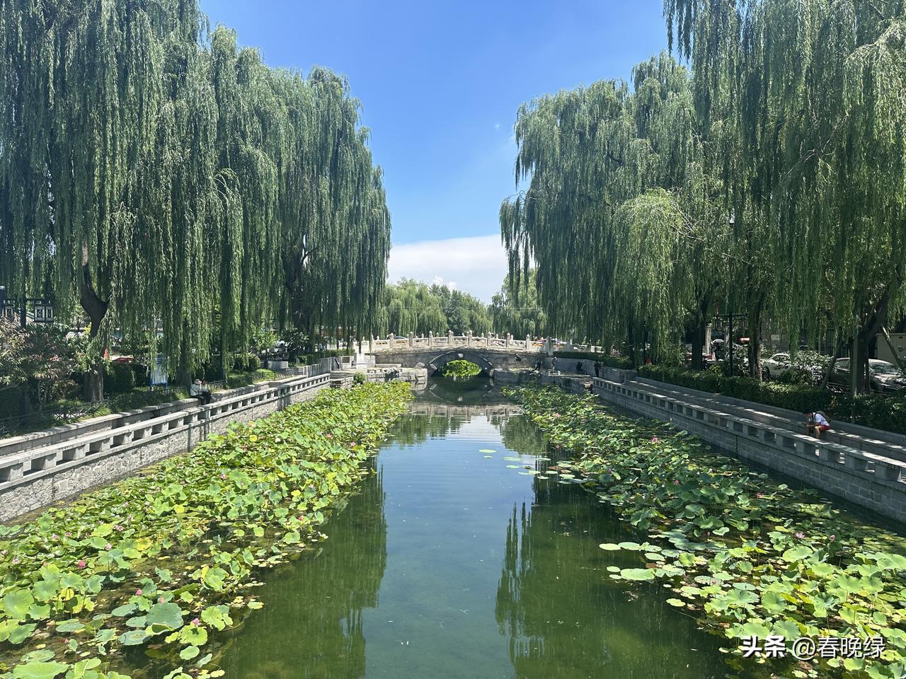前几天老大大学学长的妈私信我，问我她有没有男朋友，学长是20级的，家也住浦东，目