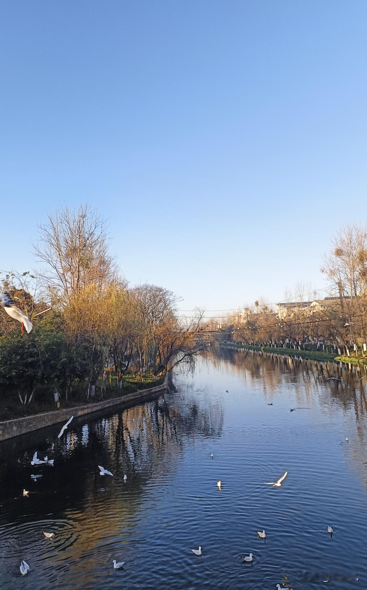 最近看到一哥们儿在视频里反复強调，告诫年轻人不要熬夜，重要的话连说了三遍。并举证