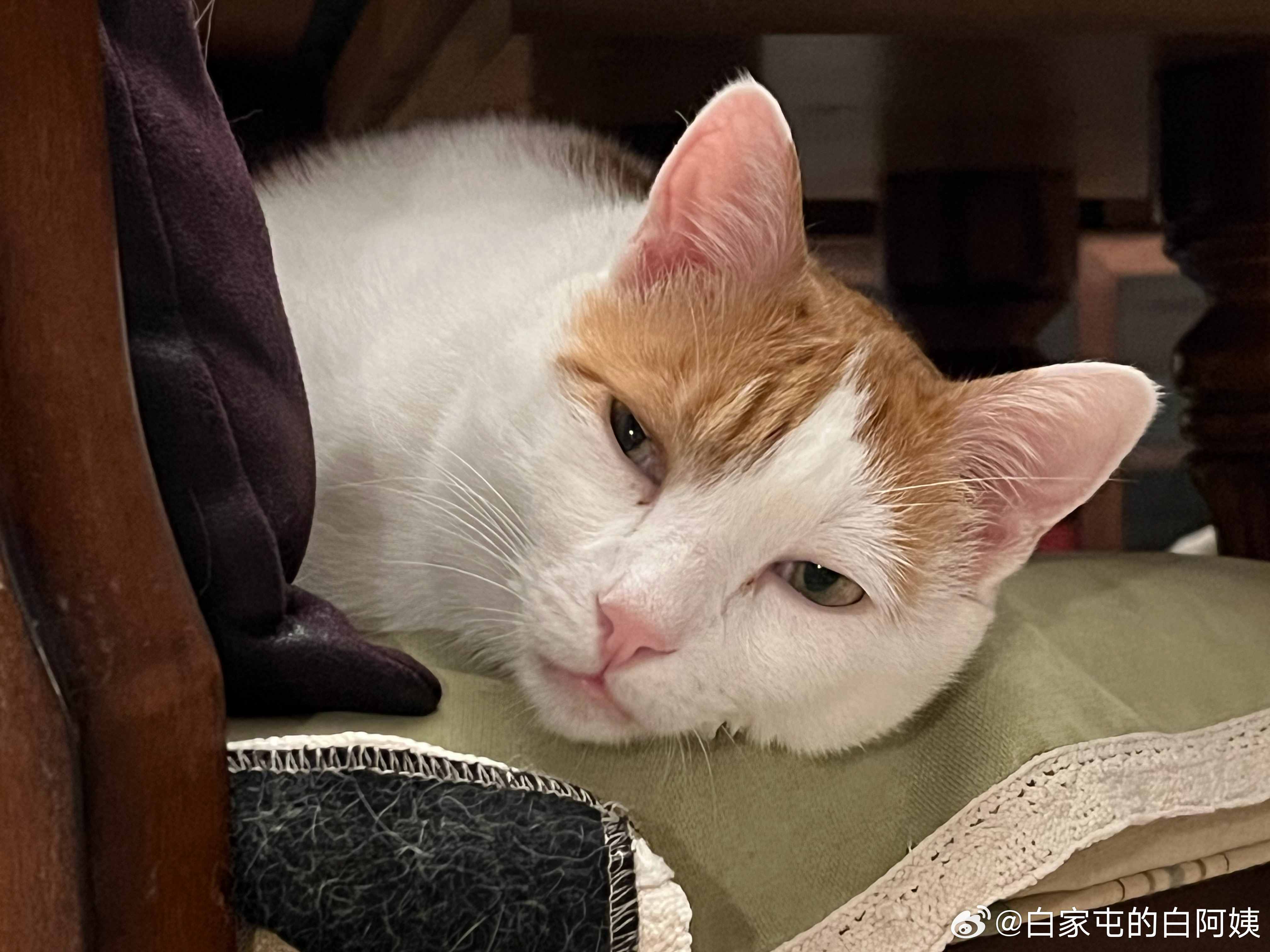 就烧了个饭，怎么累成这损sai了…现在的年轻猴一点苦都吃不了……… ​​​