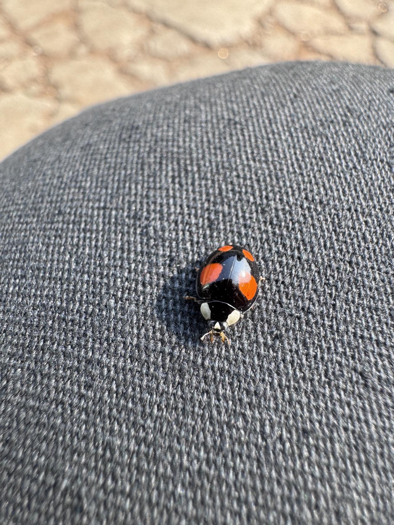 马年开工！这 3 个 “收心” 小习惯，帮我快速摆脱节后综合症

年过完了，行李