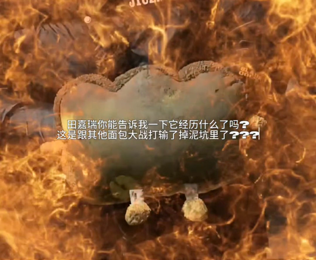 田嘉瑞有多喜欢小面包田嘉瑞你的小面包就是专属阿贝贝对不对！碎碎念：田嘉瑞……不…