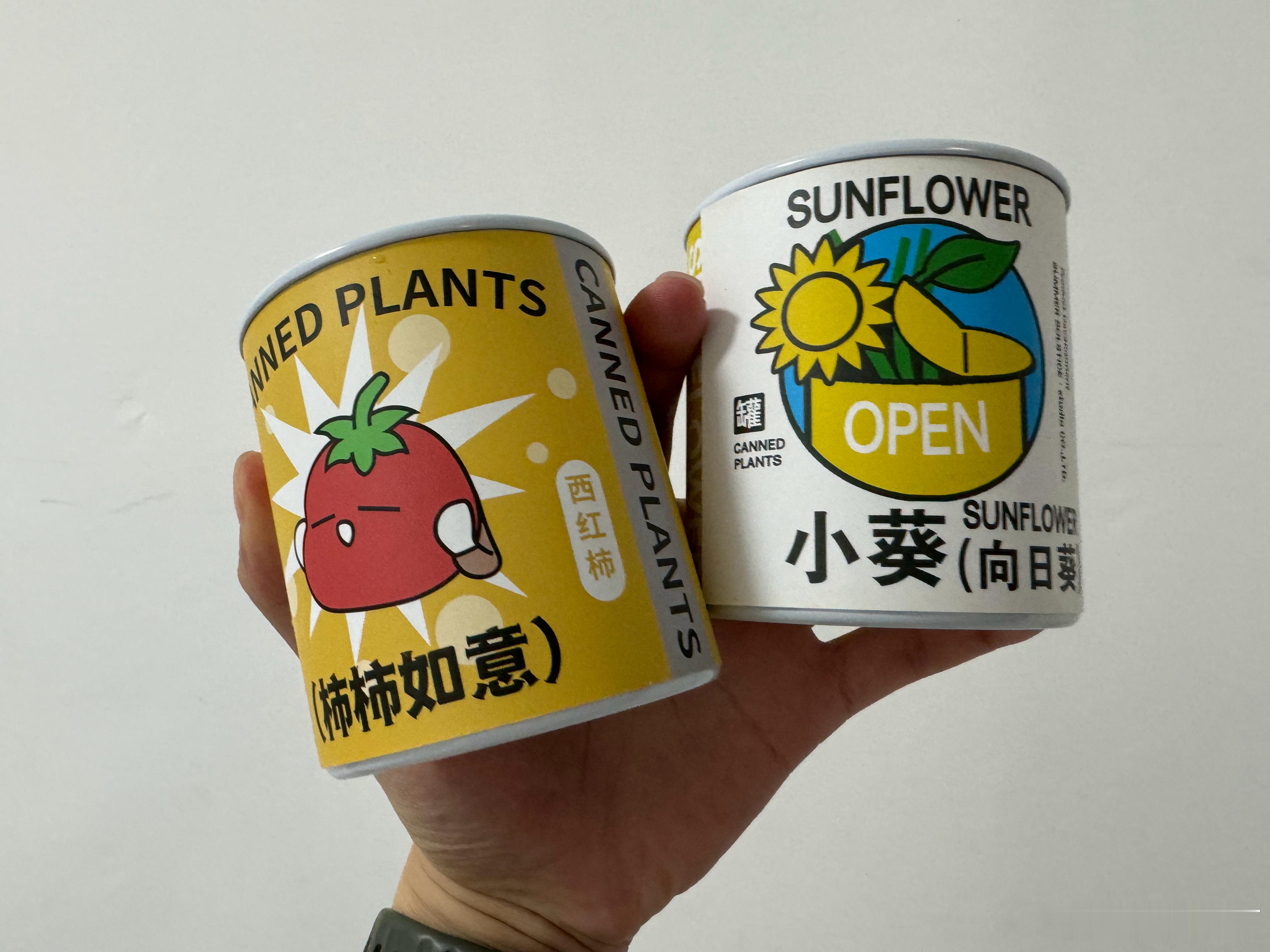 春天到了准备在阳台种两盆植物你们说能成功吗[笑cry] ​​​