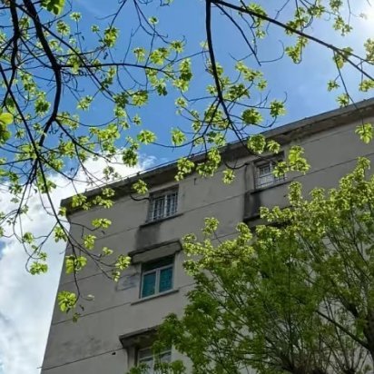 阳光信用🌞 阳光信用🌞 每日一善  低谷时不自弃，是智慧；高处时不自满，是格