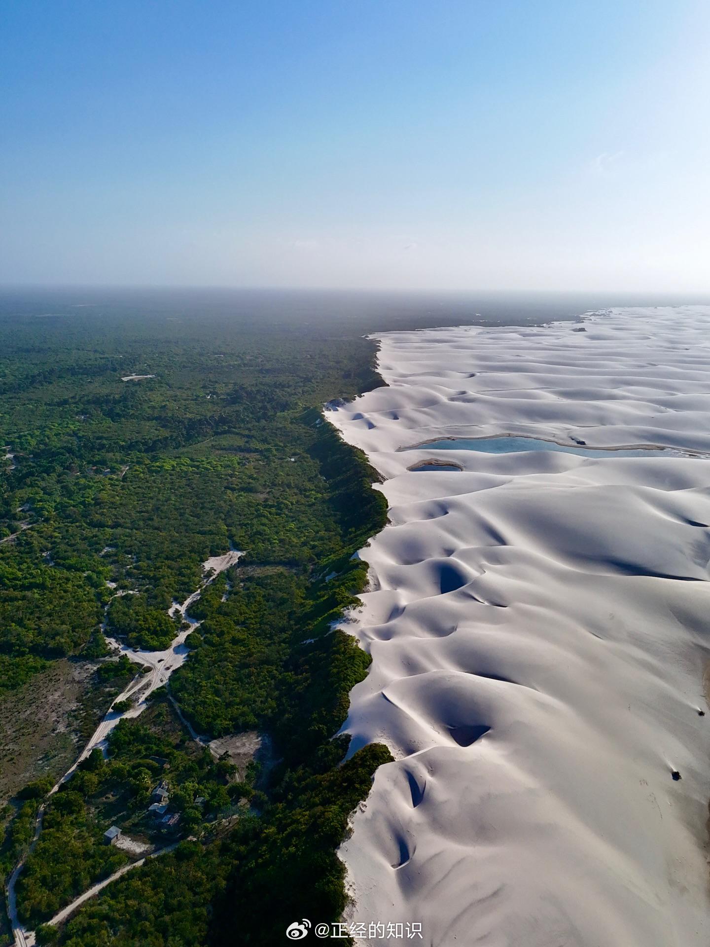 巴西马拉尼昂塞斯（Lençóis Maranhenses）郁郁葱葱的森林和白色沙