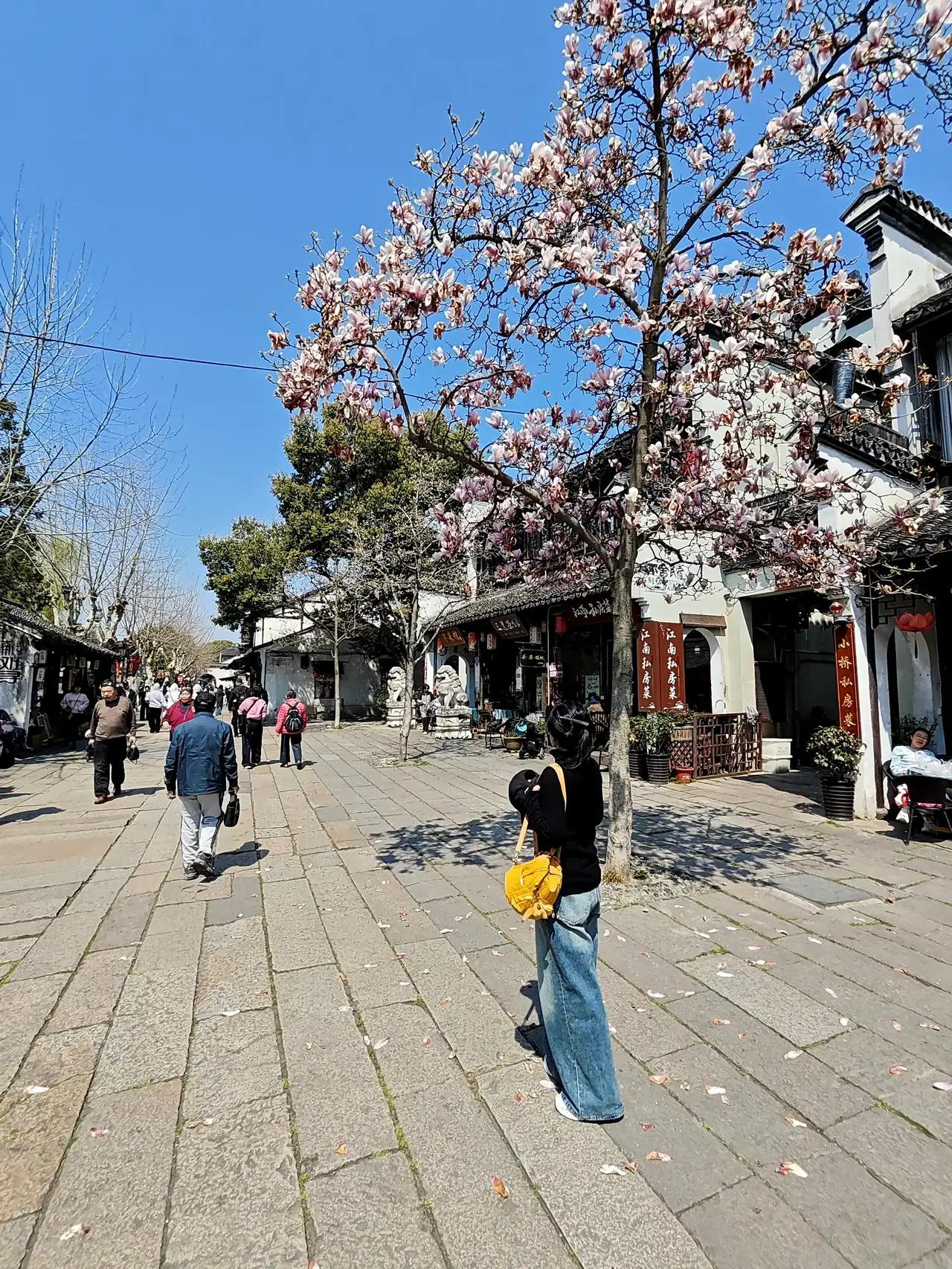 我的今日状态：😁轻松愉快
我这里的天气：☀️晴天

汽车征文在不到12个小时就