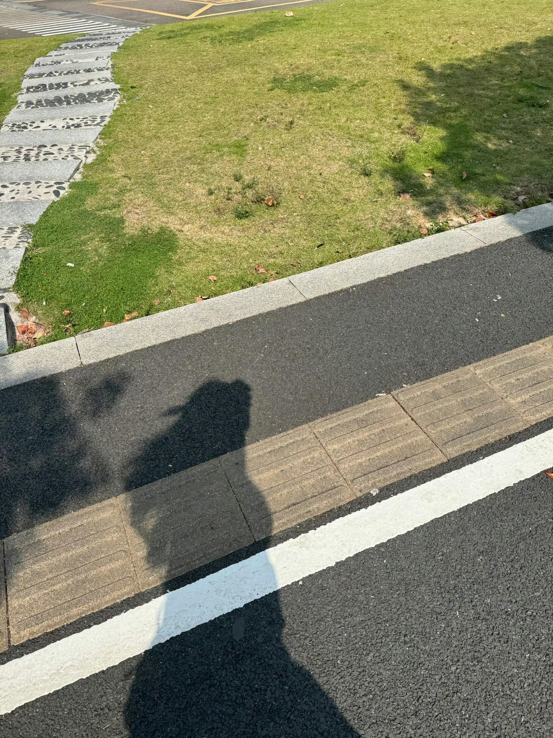 你不嫁我不嫁养老院里跳恰恰 