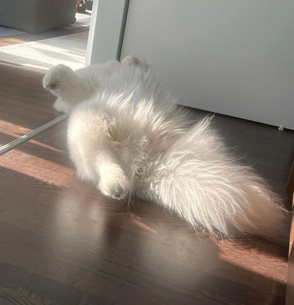耶耶，太阳晒到屁股啦 ​​​
