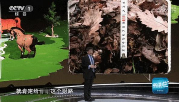 利润2300一吨，5年收了3万吨，日本狂收东北落叶，原来真相是这样。前几年里，东