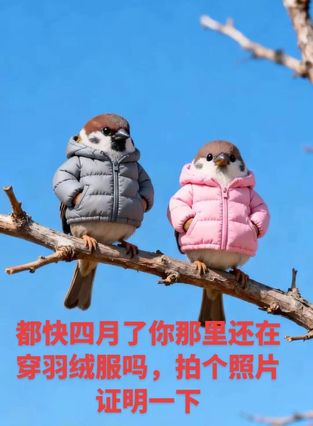 你那里暖和了吗，为何还脱不了冬装。春天 暖和上热门🔥 手机摄影 上热搜