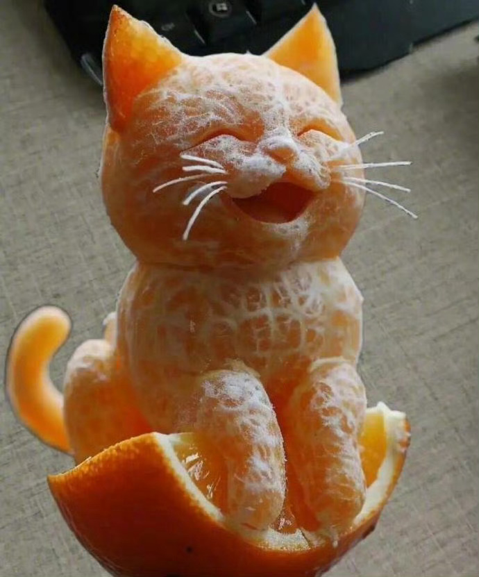 看见这只猫咪的人三天内必有好运！ ​ ​​​