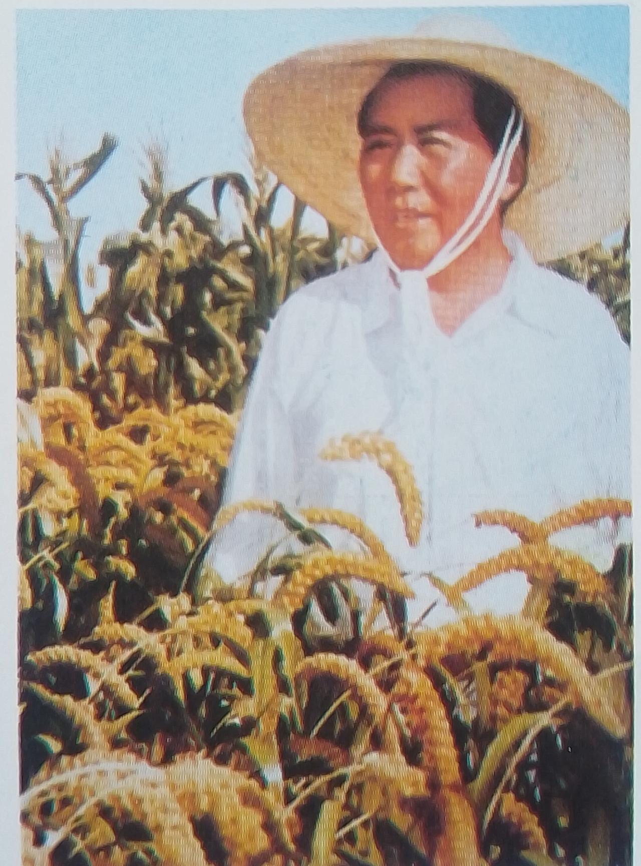 毛主席喜欢看样板戏，最喜欢的那部戏。
        毛主席对样板戏是喜欢听，乐