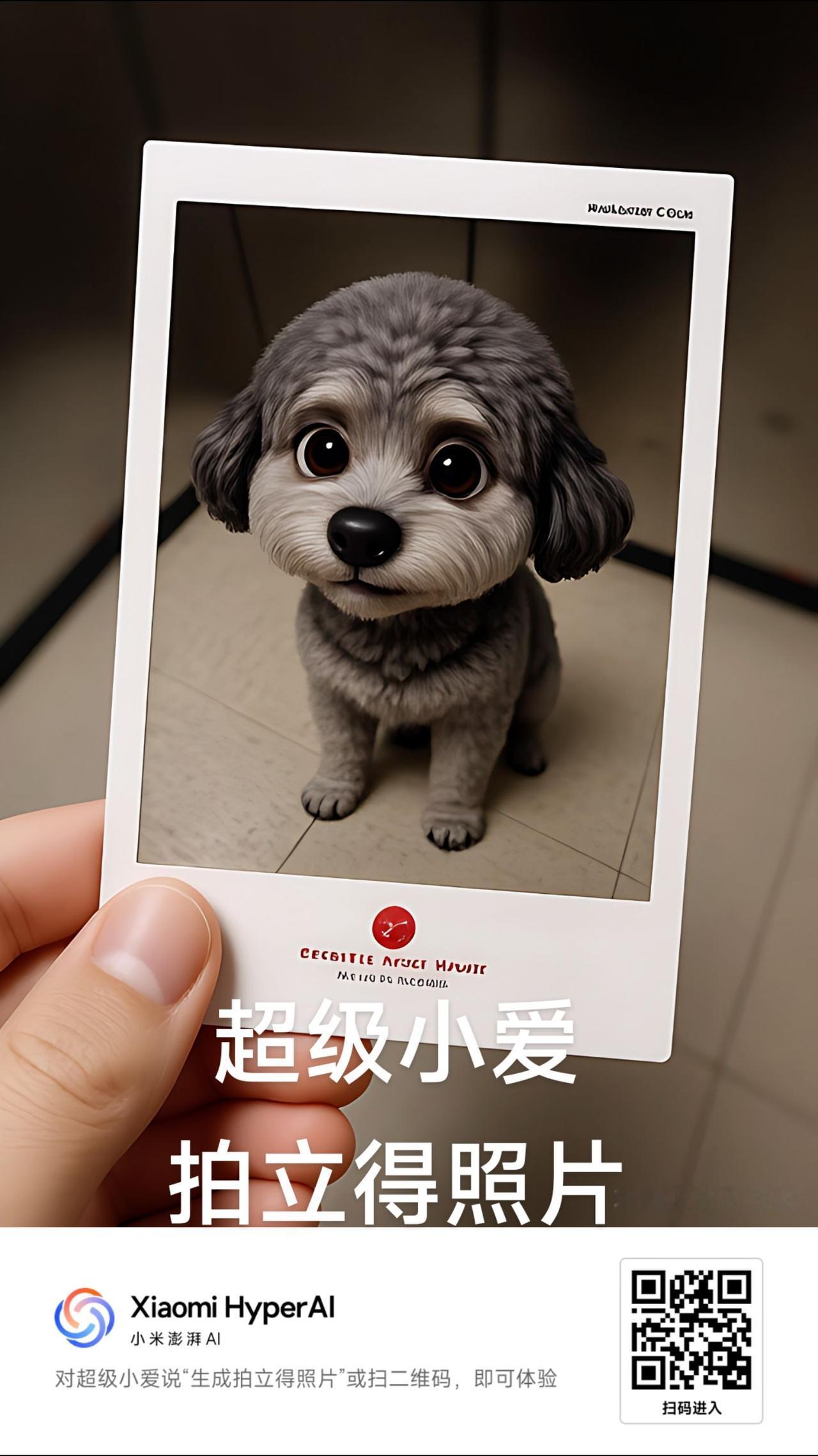热爱霸屏榜 万能的抖音 小狗狗