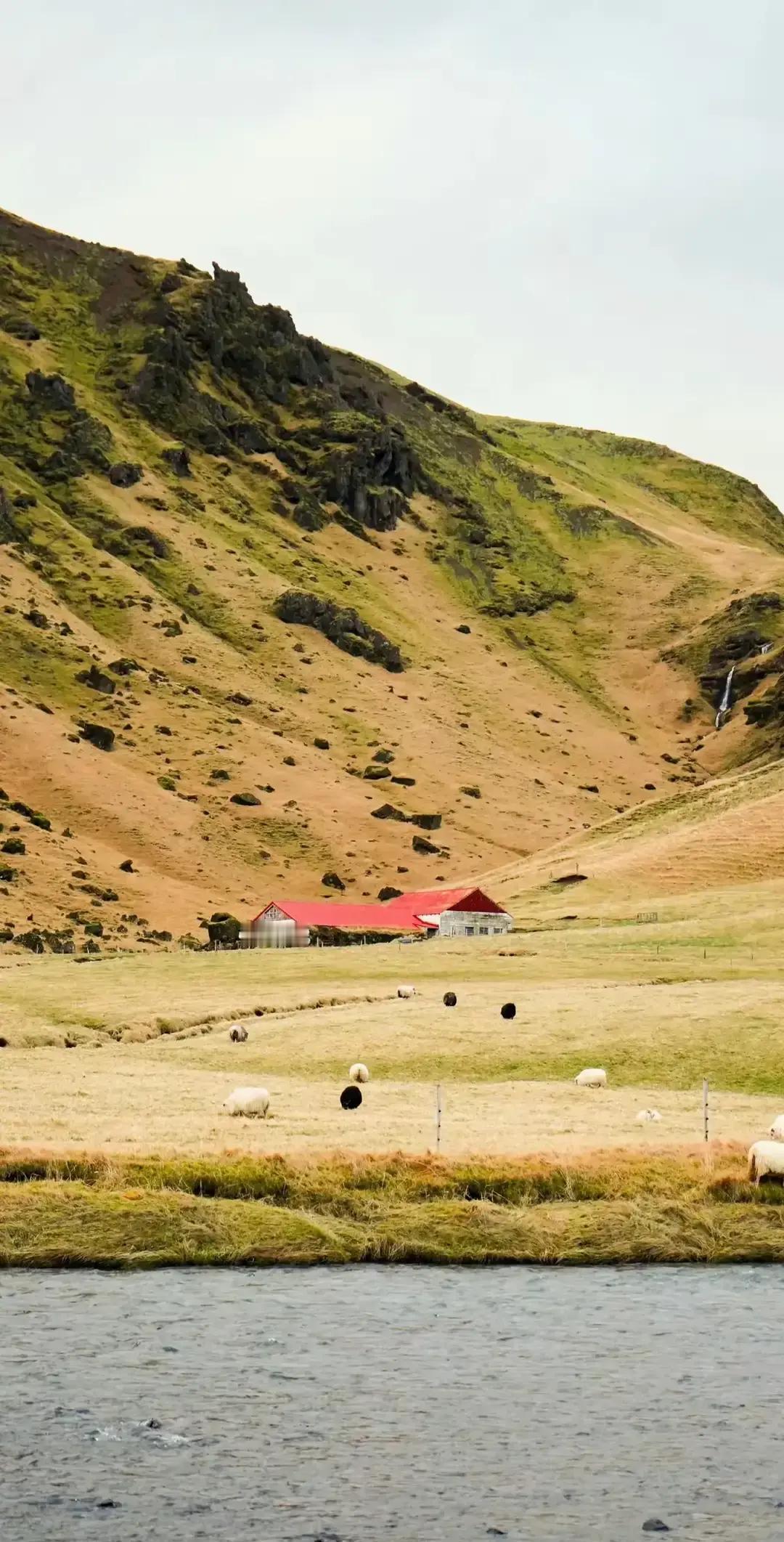 抖音上突然冒出一句“心中没女人，身边才不断女人”，被包装成某神秘大老板的金句。