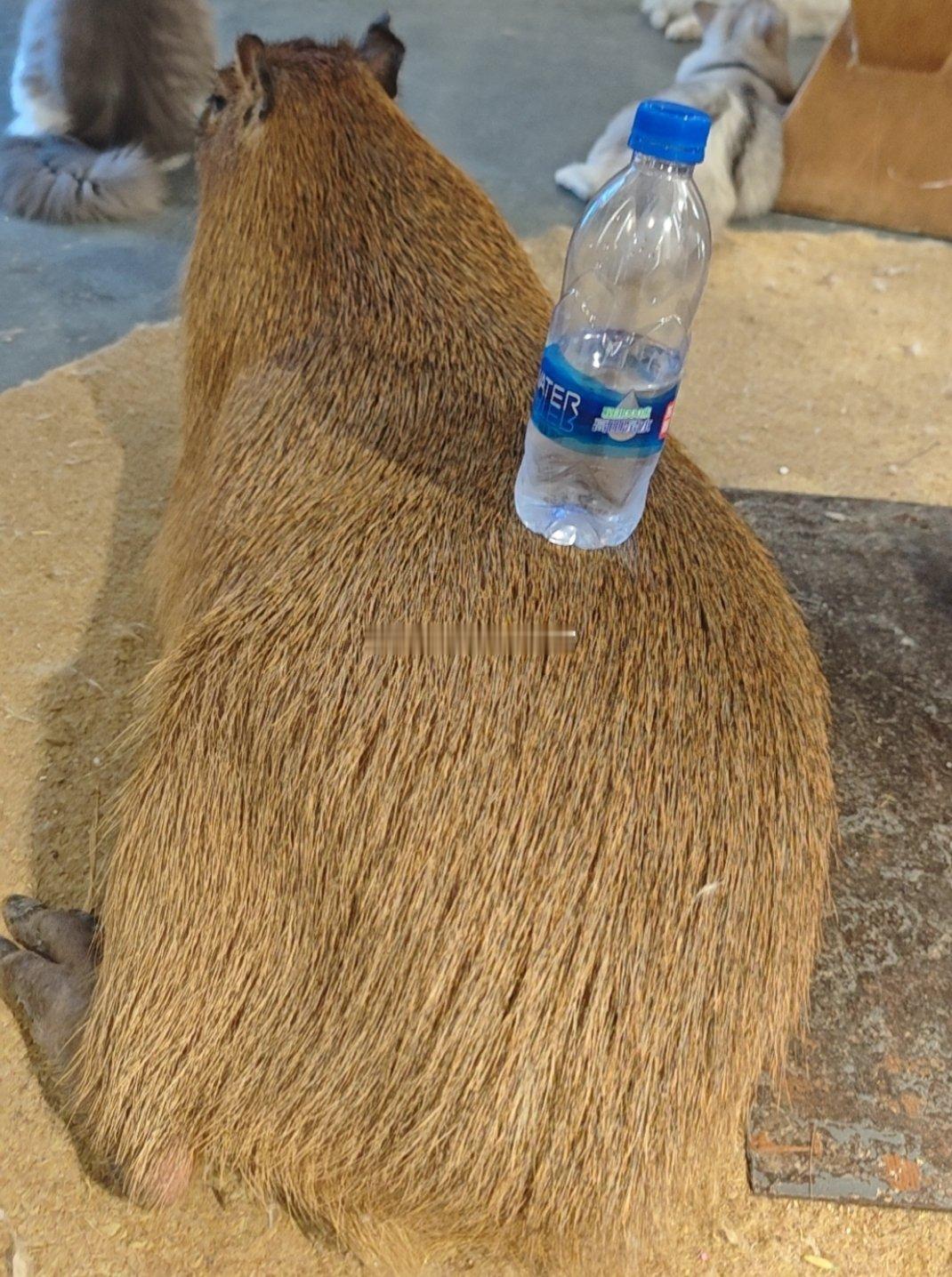 情绪稳定，想谈 