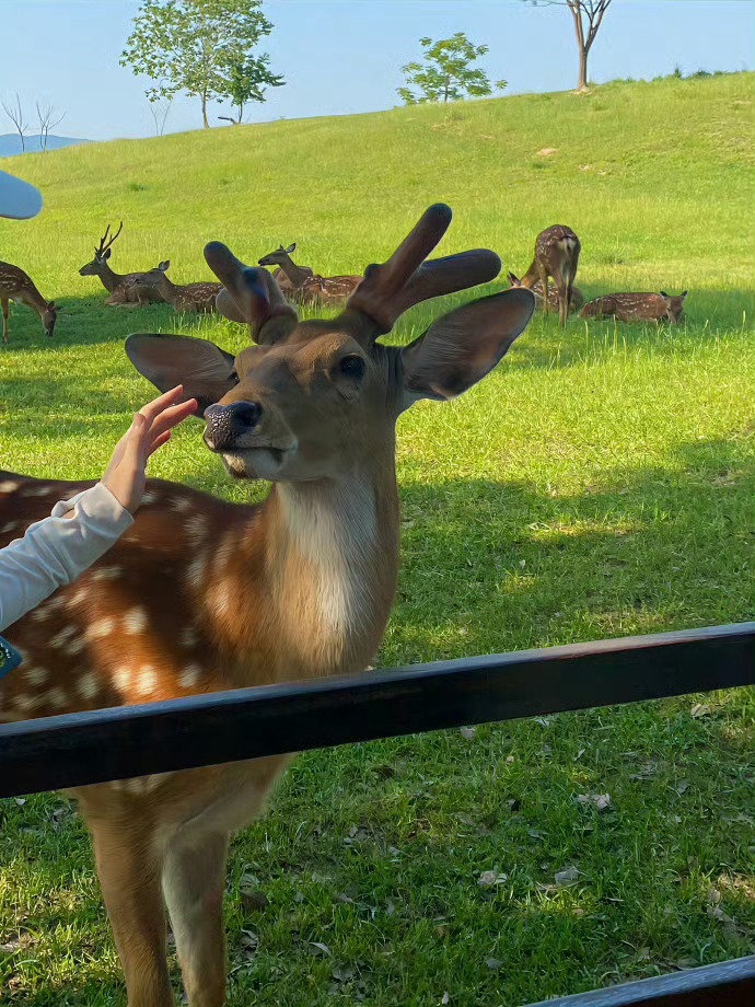 这放假太久，脑子都还木木的，没反应过来。 