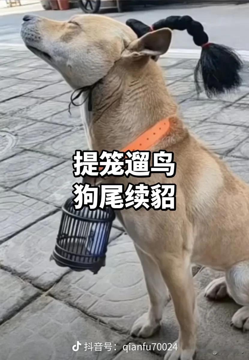 某大导演最近有个电影，里面有提笼遛鸟的那位出演，身边的朋友有约着去看的，我拒绝了