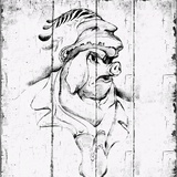 莓彤热说房产