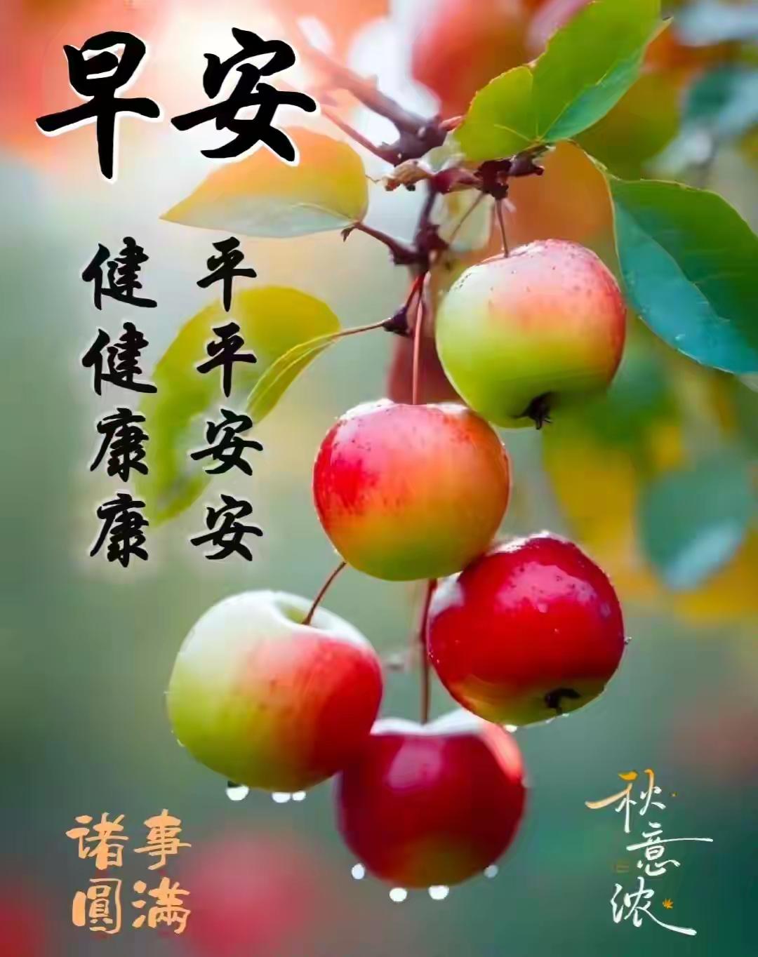 我新发布的内容被官方推荐啦！👍今天是二十四节气中第十六个节气秋分，而秋分又是秋