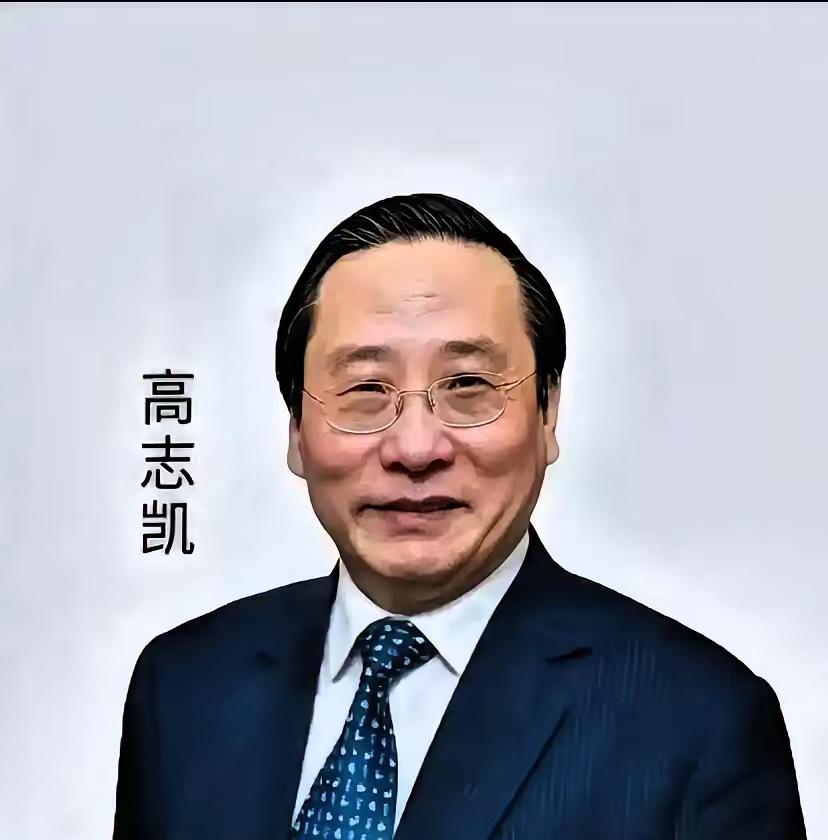 高志凯在日内瓦又把那帮西方媒体人给怼得够呛。

别人拿着军舰吨位说你“危险”，他