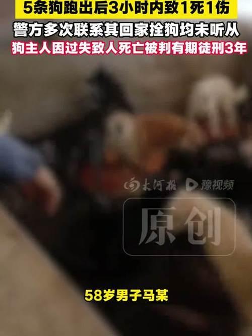 应该严格管控养犬，严惩违法养犬者


漠视犬只安全酿人命！尚志男子养犬疏于管控致