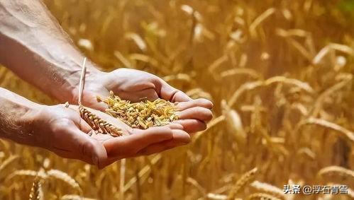 支撑伊朗打下去的不是武器弹药，而是粮食和药品！
伊朗国土164万平方公里，人口9