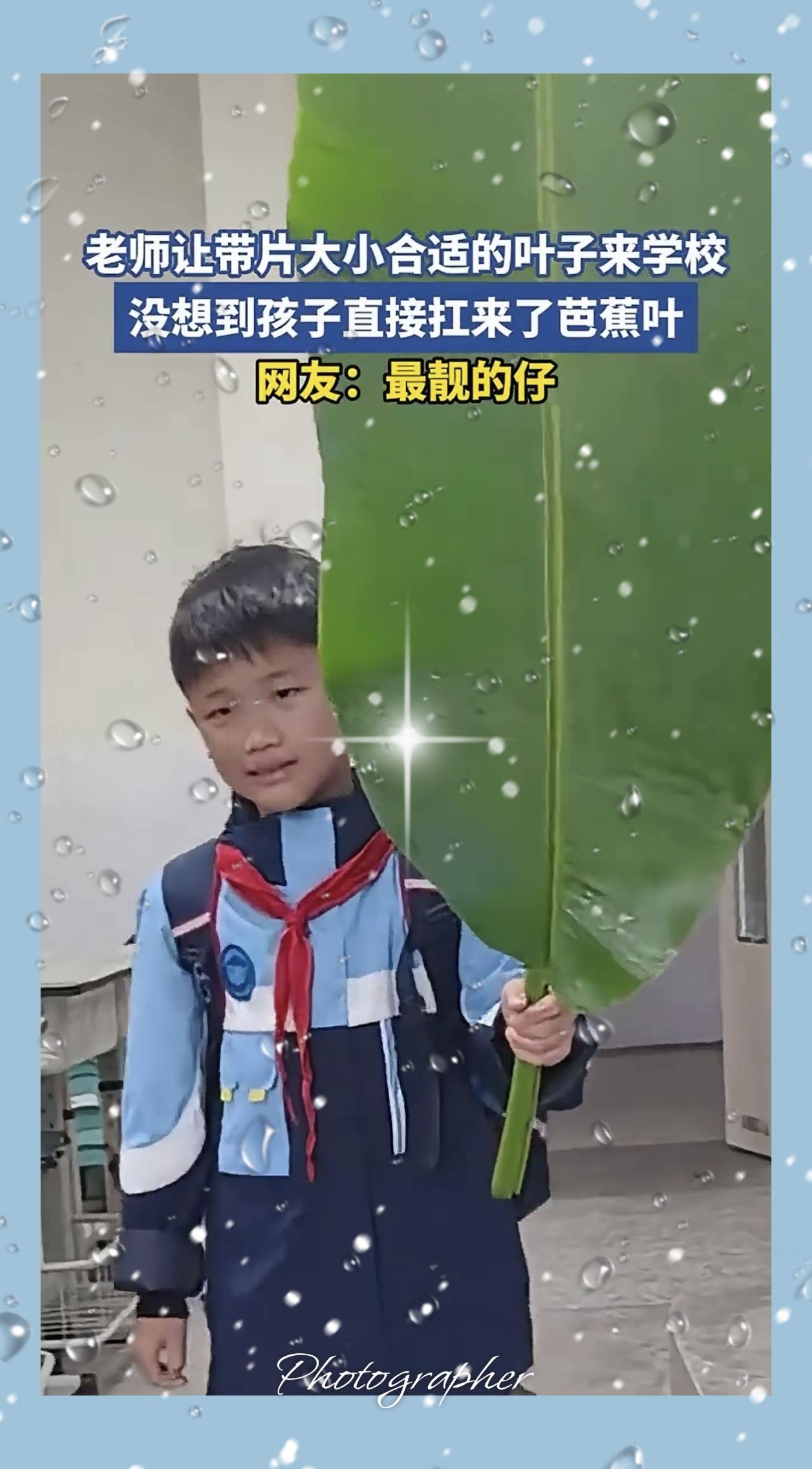 “笑不活了！”四川一老师给同学安排任务，让他们自己找片叶子上课用，可没想到，一个
