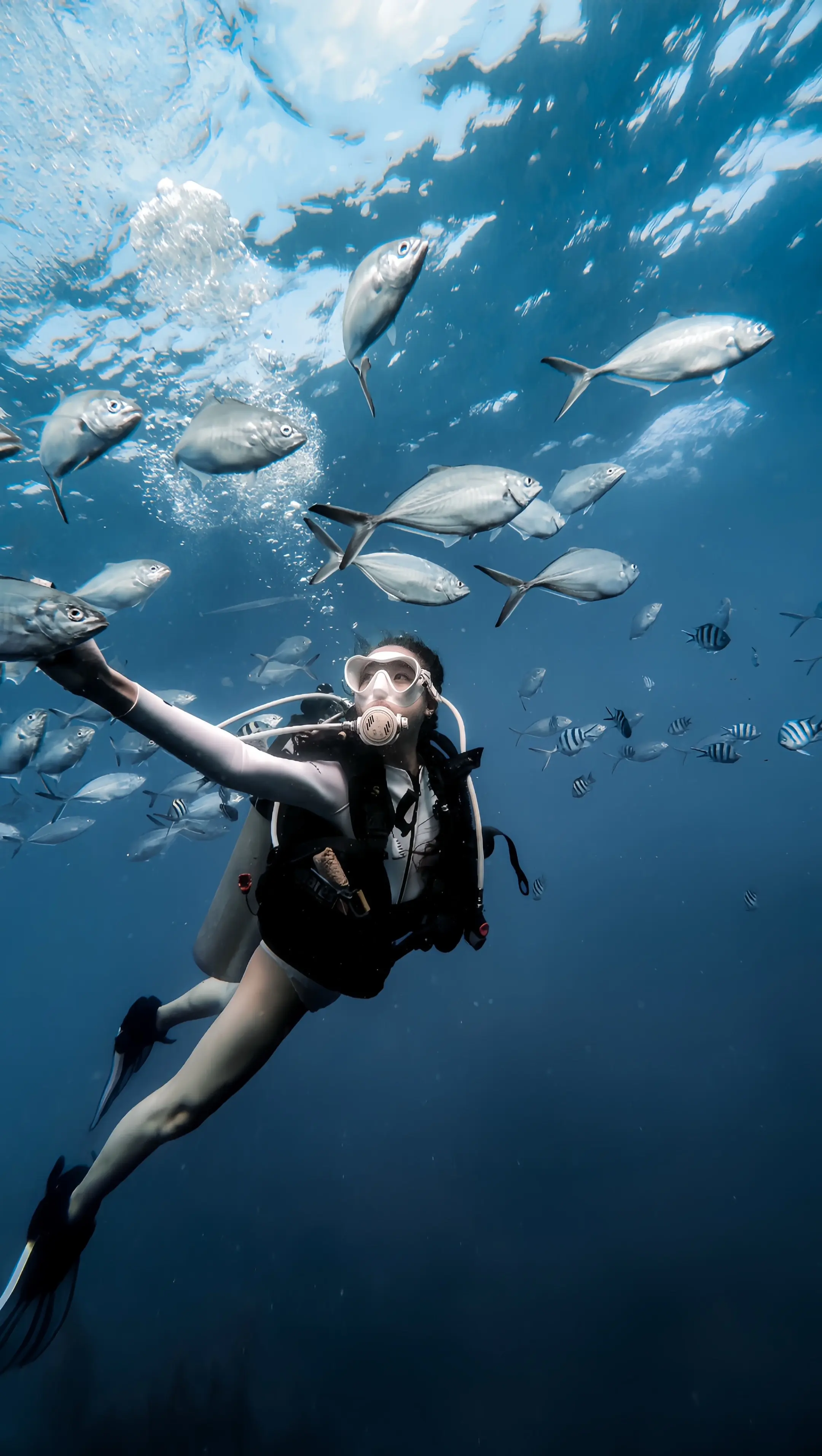 🤿𓈒𓂂𓏸𓇼🐠🪸🫧⭒˚🐚 当全世界只剩下自己的呼吸声