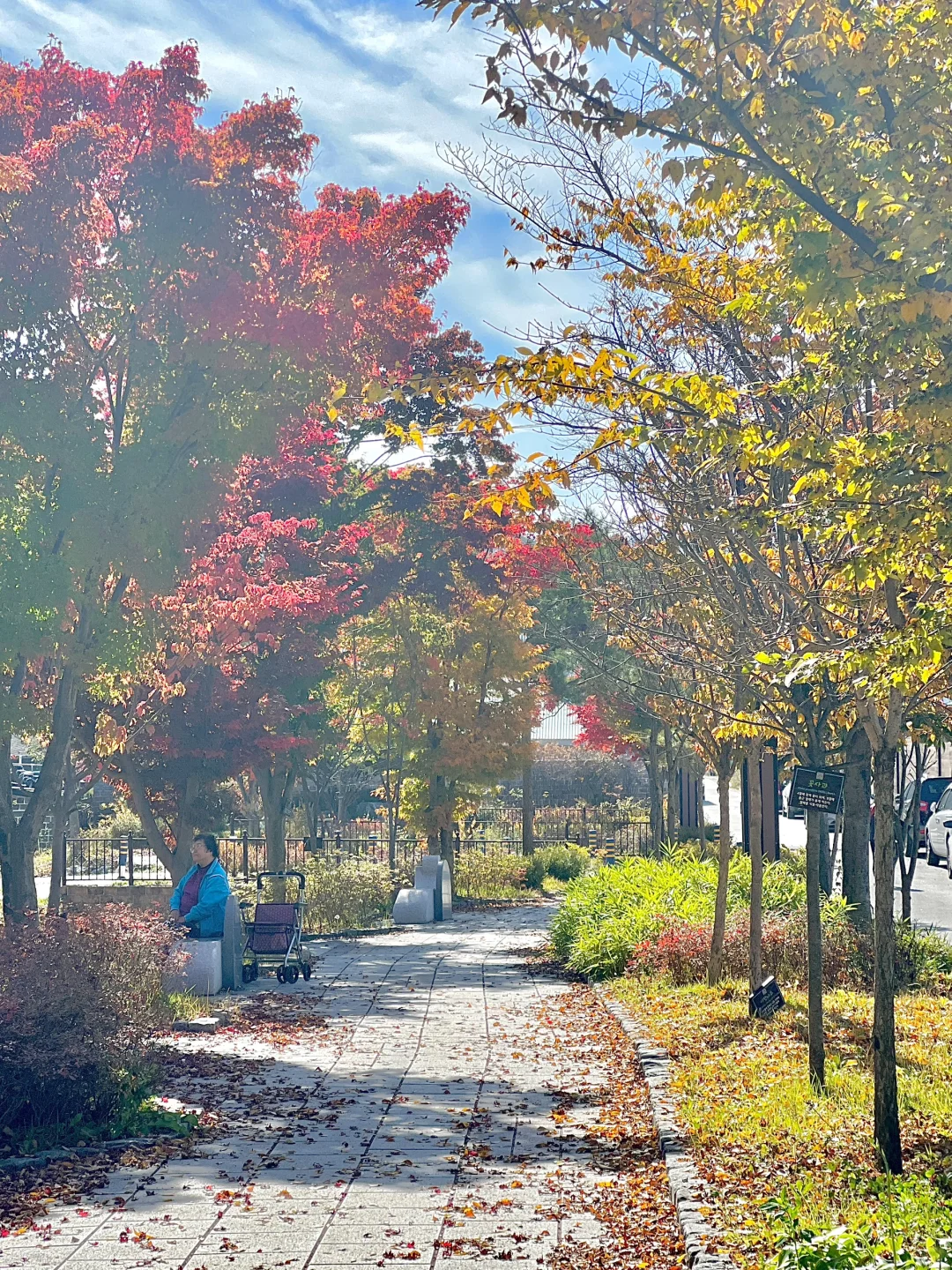 🧡小城慢生活｜公园躺平过秋天🍁🍂