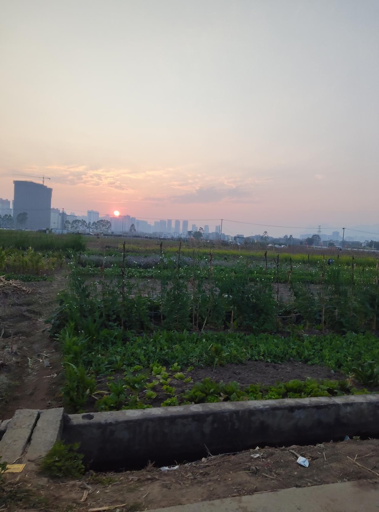 这个其实很简单，不要盲目的去追逐遥不可及的大幸福，守好生活小美好就行。

别在小