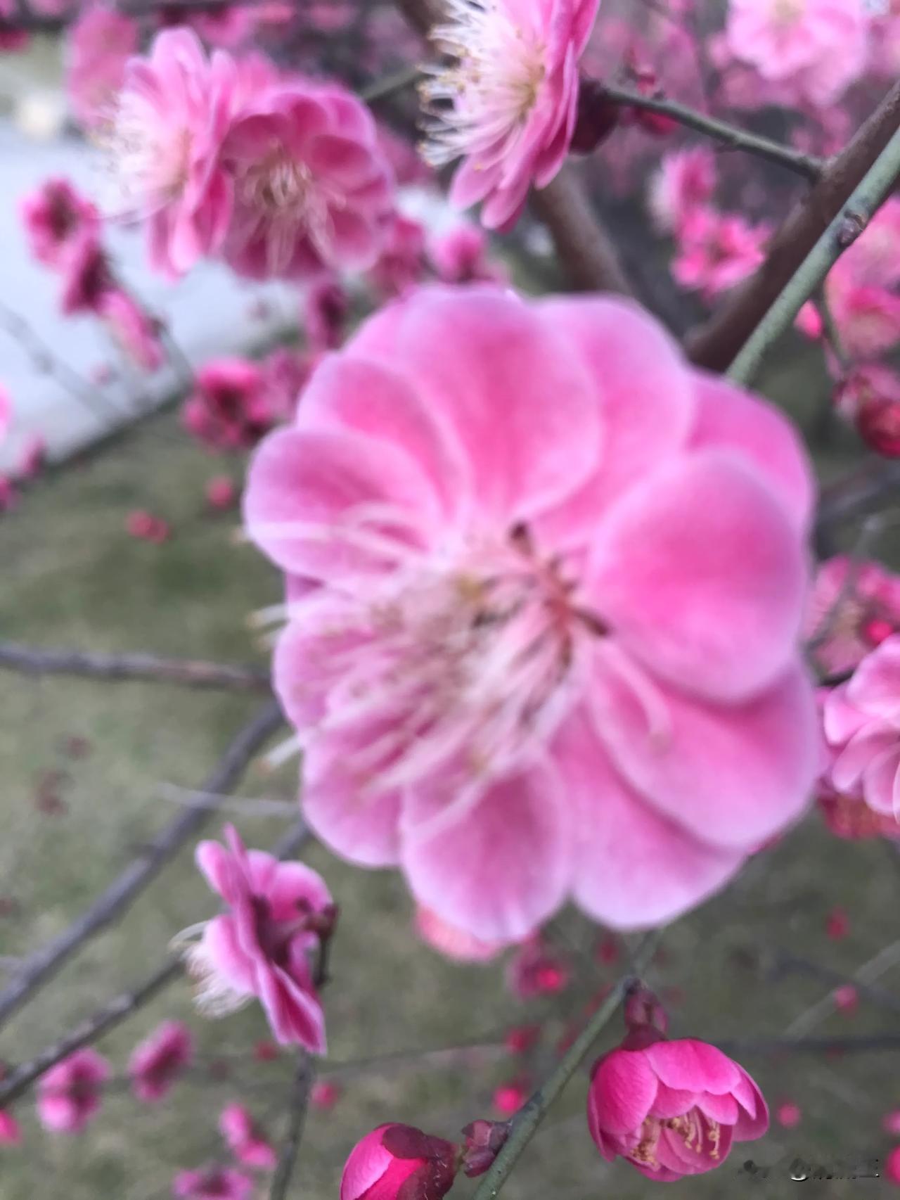 我们一起去欣赏