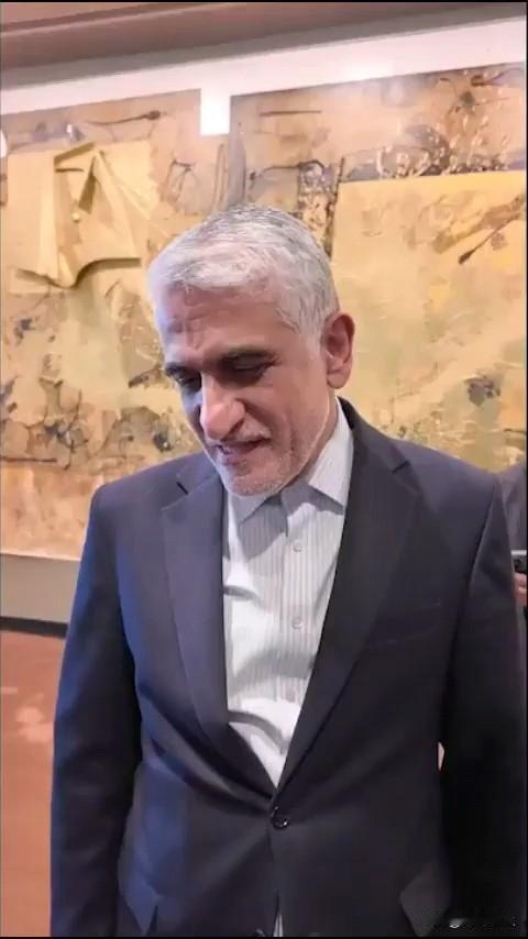 伊朗可以谈判，但美国必须老实！

伊朗驻联合国大使阿米尔·赛义德·伊拉瓦尼表示，